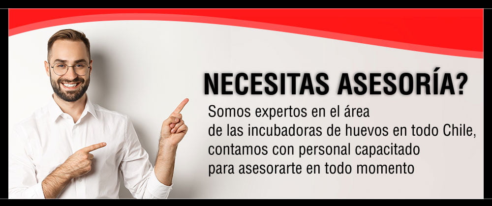 ASESORIA agroavicola - Agroavicola