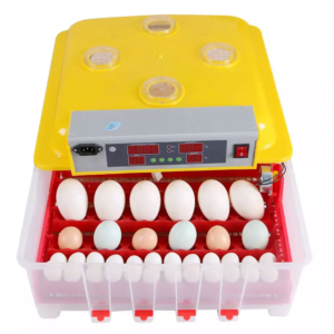 Incubadora Automática de 36 huevos Incubadora Automática de 36 huevos
