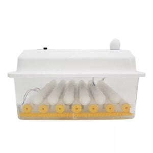 Incubadora Automática de 36 huevos blanca Incubadora Automática de 36 huevos blanca