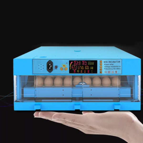 Incubadora Automática de 64 huevos azul