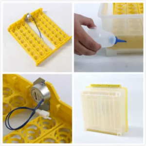 Incubadora Automática de 48 huevos Incubadora Automática de 48 huevos