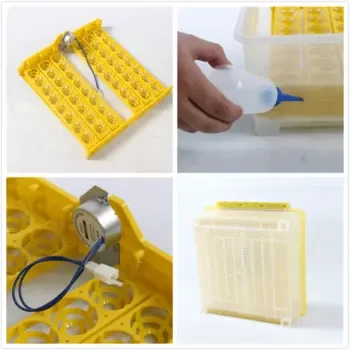 Incubadora Automática de 48 huevos