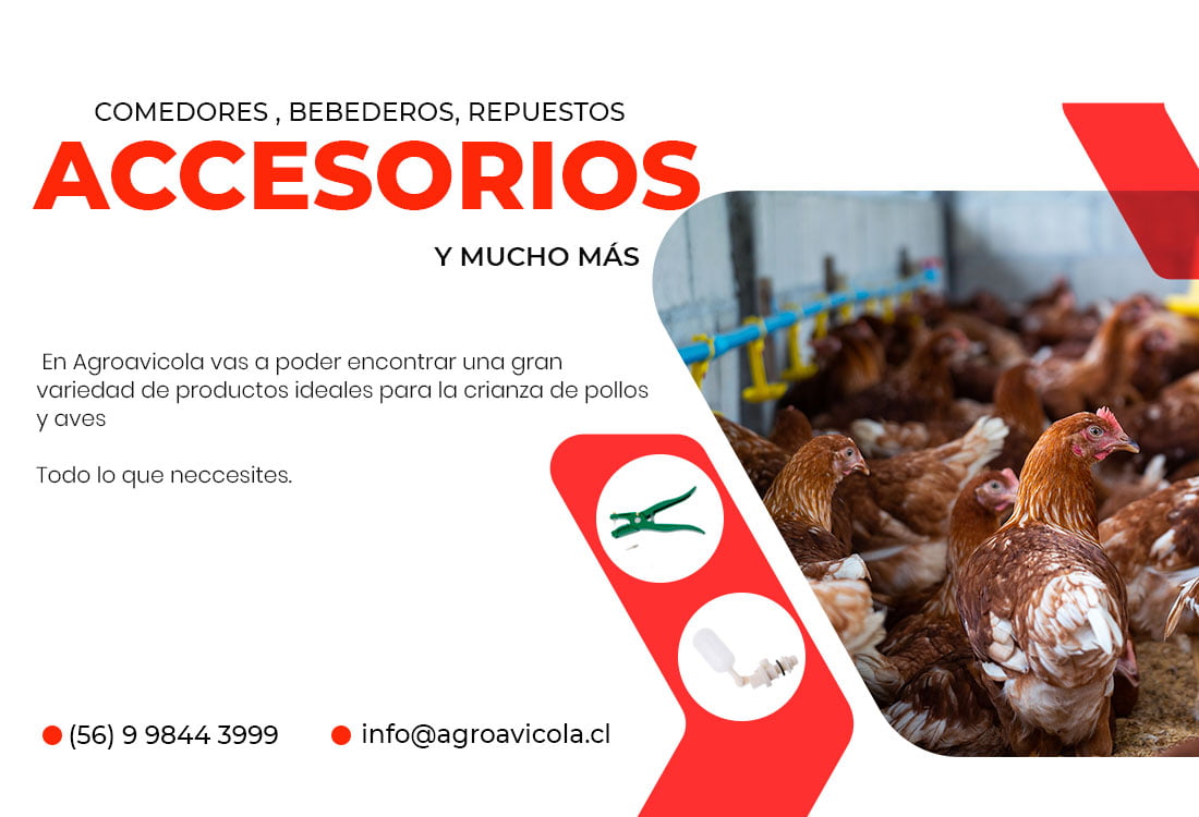 BANERS POLLOS AGROAVICOLA 1 movil  - Agroavicola
