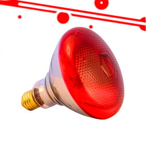 Calefacción para Aves