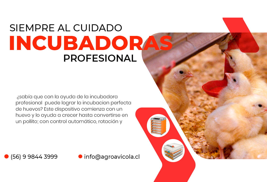 NUEVOS BANNERS MACROSHOPPY PEQUENOS incubadora - Agroavicola