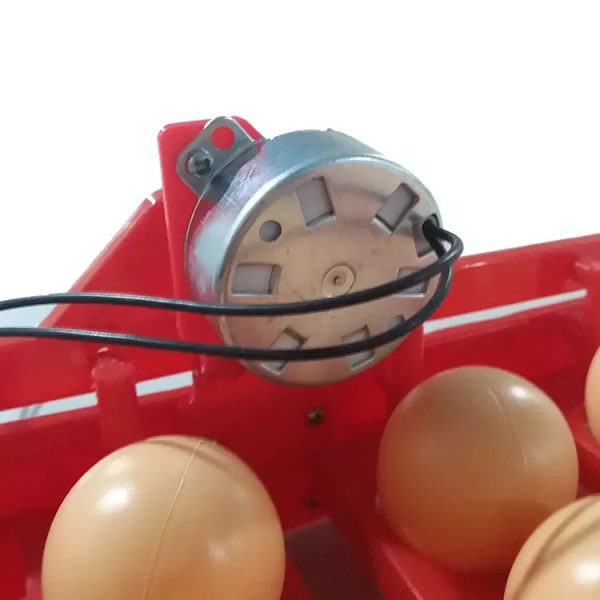Incubadora Profesional de 24 huevos