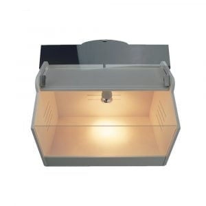 Criadora de Pollitos Pequeña Criadora de Pollitos Pequeña