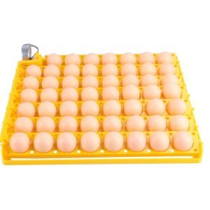 Bandeja de Huevos para Incubadora 55 huevos Bandeja de Huevos para Incubadora 55 huevos