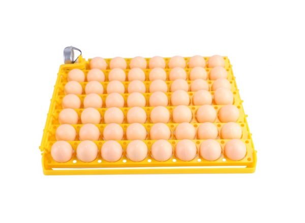 Bandeja de Huevos para Incubadora 55 huevos