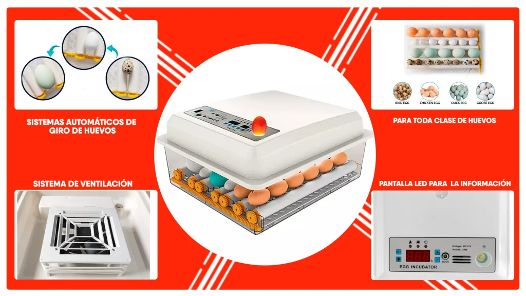 Caracteristicas de las incubadoras automaticas 1024x576 - Los mejores accesorios para tu incubadora de huevos automática
