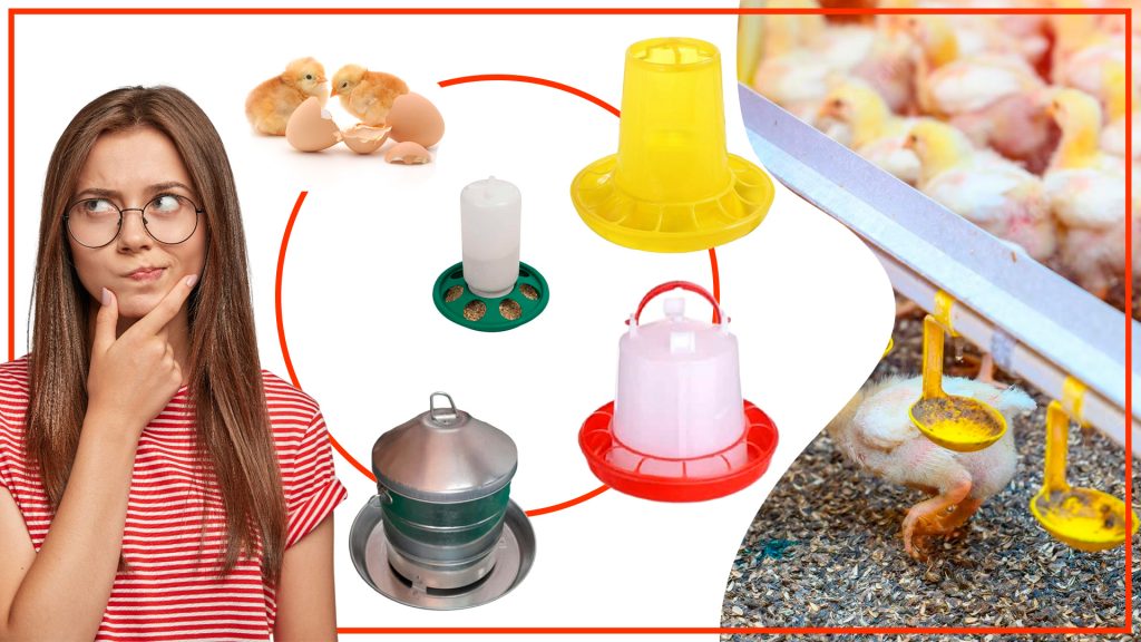 Comederos para gallinas: ¿cómo elegir el adecuado para tu granja? Comederos para gallina como elegir el adecuado para tu granja 1024x576 - Comederos para gallinas: ¿cómo elegir el adecuado para tu granja?