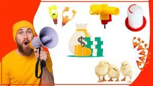 Como Como aprovechar al maximo tu bebedero para aves 300x169 - Cómo aprovechar al máximo tu bebedero para aves