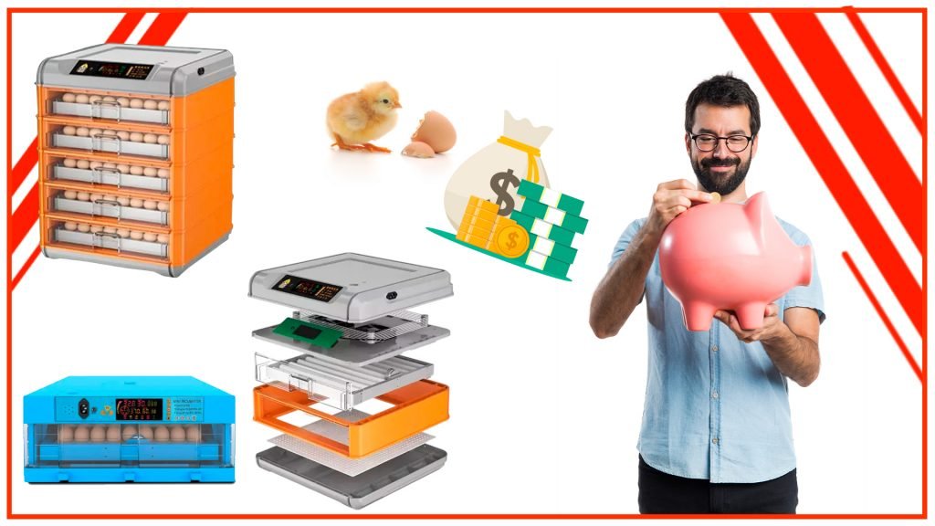Cómo ahorrar dinero y tiempo con una incubadora de huevos automática Como ahorrar dinero y tiempo con una incubadora de huevos automatica 1024x576 - Cómo ahorrar dinero y tiempo con una incubadora de huevos automática
