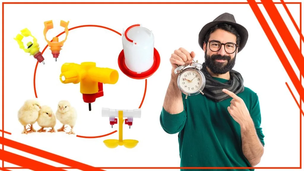 Como ahorrar tiempo y esfuerzo en el mantenimiento de los bebederos de gallina 1024x576 - Cómo ahorrar tiempo y esfuerzo en el mantenimiento de los bebederos de gallina
