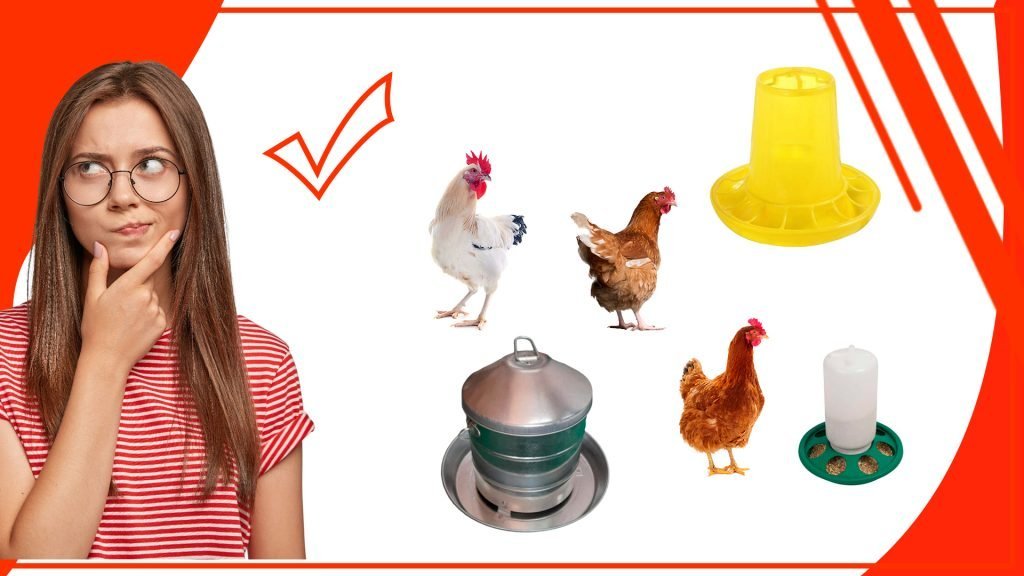 Cómo aprovechar al máximo tu comederos para gallinas Como aprovechar al maximo tu comederos para gallinas 1024x576 - Cómo aprovechar al máximo tu comederos para gallinas