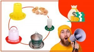 Como aprovechar al maximo tu comederos para pollos 300x169 - Cómo aprovechar al máximo tu comederos para pollos