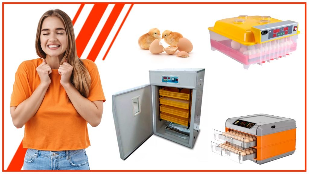 Cómo aprovechar al máximo tu incubadora de huevos automática Como aprovechar al maximo tu incubadora de huevos automatica 1024x576 - Cómo aprovechar al máximo tu incubadora de huevos automática