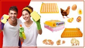 Como asegurar que las bandejas de huevos sean faciles de limpiar 300x169 - ¿Cómo asegurar que las bandejas de huevos sean fáciles de limpiar?