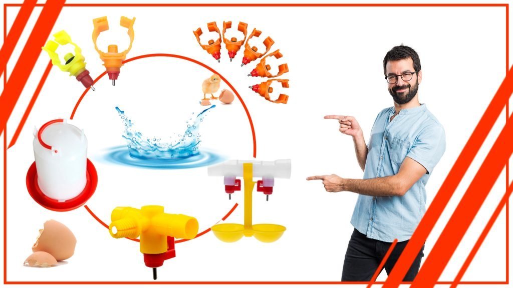 Como asegurar que los pollos tengan acceso constante al agua 1024x576 - Cómo asegurar que los pollos tengan acceso constante al agua