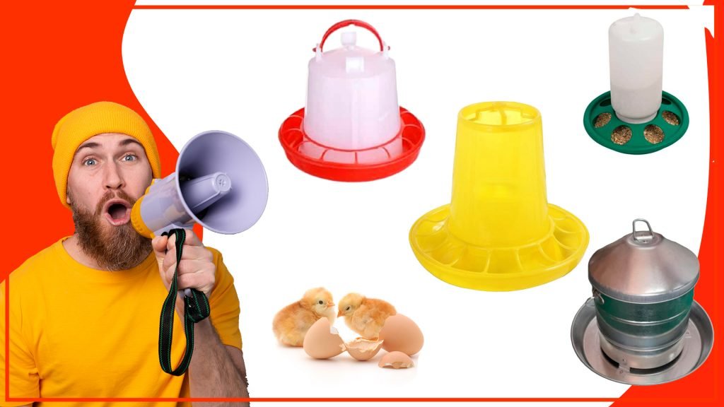 Cómo asegurar que los pollos tengan acceso constante al alimento Como asegurar que los pollos tengan acceso constante al alimento 1024x576 - Cómo asegurar que los pollos tengan acceso constante al alimento