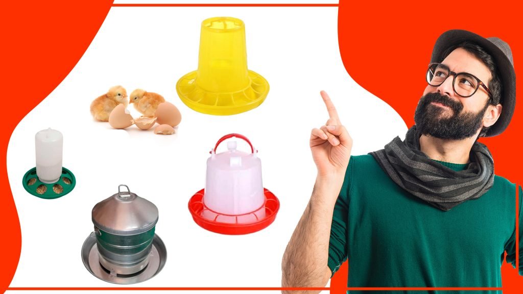 Cómo asegurar una alimentación adecuada para tus gallinas Como asegurar una alimentacion adecuada para tus gallinas 1024x576 - Cómo asegurar una alimentación adecuada para tus gallinas