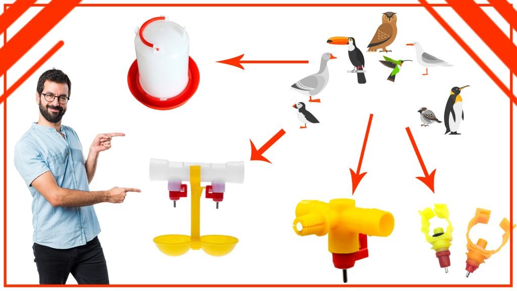 Como atraer a diferentes especies de aves con tu bebedero 1024x576 - Cómo atraer a diferentes especies de aves con tu bebedero