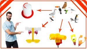 Como atraer a diferentes especies de aves con tu bebedero 300x169 - Cómo atraer a diferentes especies de aves con tu bebedero