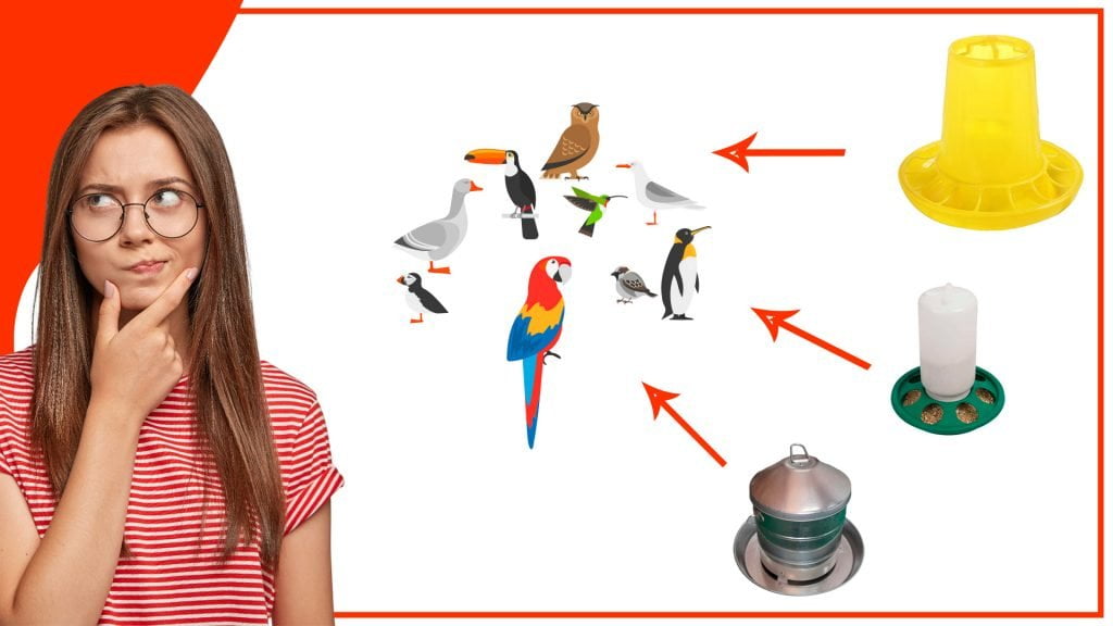 Como atraer a diferentes especies de aves con tu comederos 1024x576 - Cómo atraer a diferentes especies de aves con tu comederos