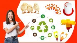 Como construir un bebedero para aves con materiales reciclados 300x169 - Cómo construir un bebedero para aves con materiales reciclados