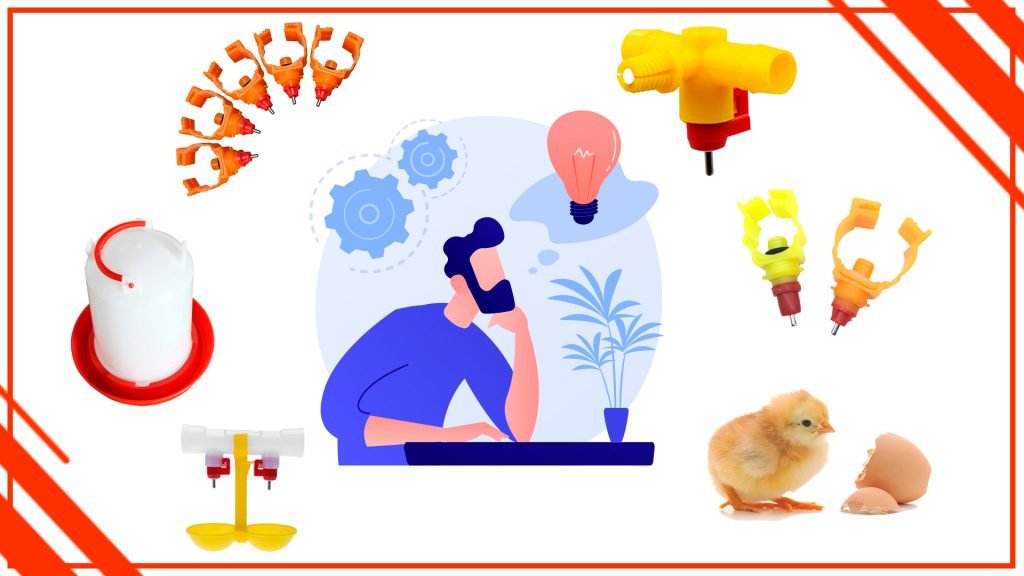 Como disenar un bebedero para aves atractivo y funcional 1024x576 - Cómo diseñar un bebedero para aves atractivo y funcional