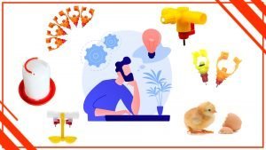 Como disenar un bebedero para aves atractivo y funcional 300x169 - Cómo diseñar un bebedero para aves atractivo y funcional