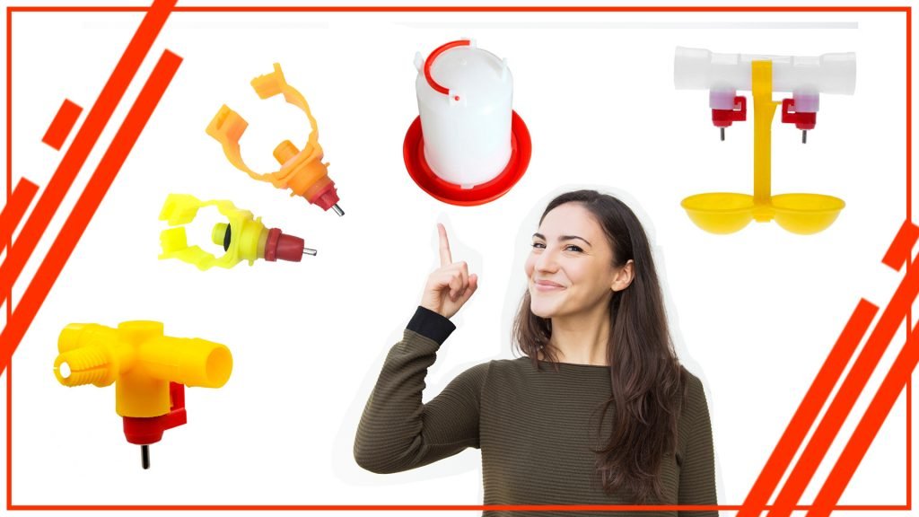 Cómo elegir el mejor bebedero para tus gallinas Como elegir el mejor bebedero para tus gallinas 1024x576 - Cómo elegir el mejor bebedero para tus gallinas