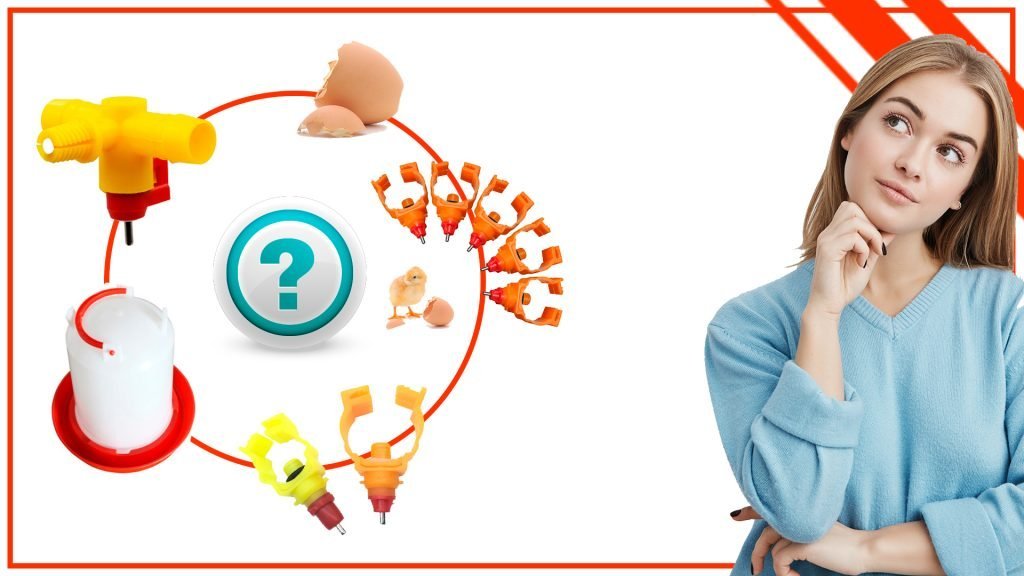 Como elegir el mejor bebedero para tus pollos 1024x576 - Cómo elegir el mejor bebedero para tus pollos