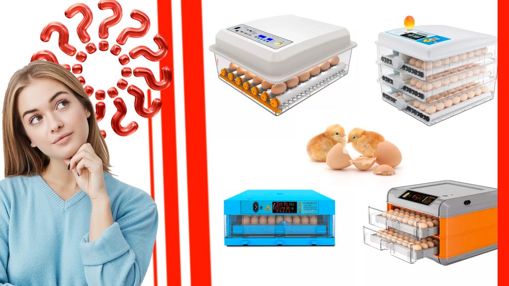 Cómo elegir la mejor incubadora de huevos automática para tu granja Como elegir la mejor incubadora de huevos automatica para tu granja 1024x576 - Cómo elegir la mejor incubadora de huevos automática para tu granja