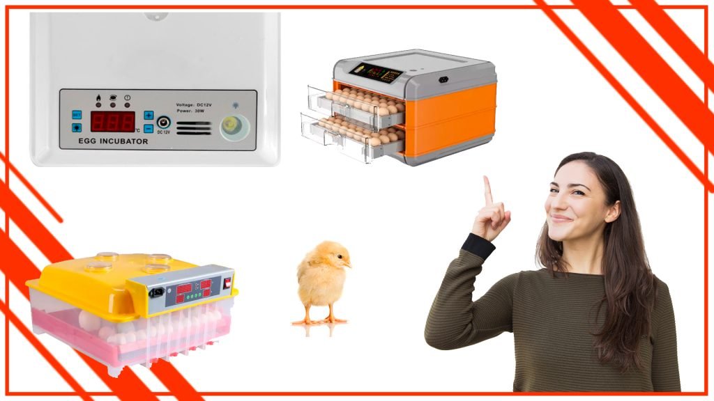Cómo elegir la mejor incubadora de huevos profesional para tu granja en Chile Como elegir la mejor incubadora de huevos profesional para tu granja en Chile 1024x576 - Cómo elegir la mejor incubadora de huevos profesional para tu granja en Chile
