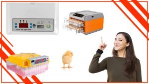 Como elegir la mejor incubadora de huevos profesional para tu granja en Chile 300x169 - Cómo elegir la mejor incubadora de huevos profesional para tu granja en Chile