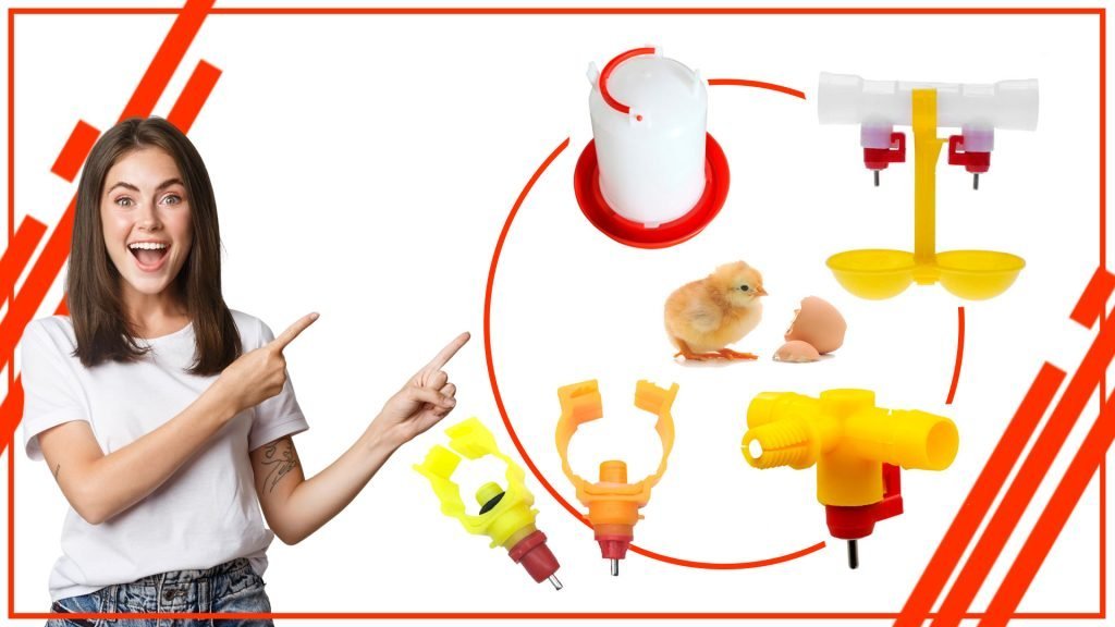 Como evitar el desperdicio de agua en los bebederos de gallina 1024x576 - Cómo evitar el desperdicio de agua en los bebederos de gallina