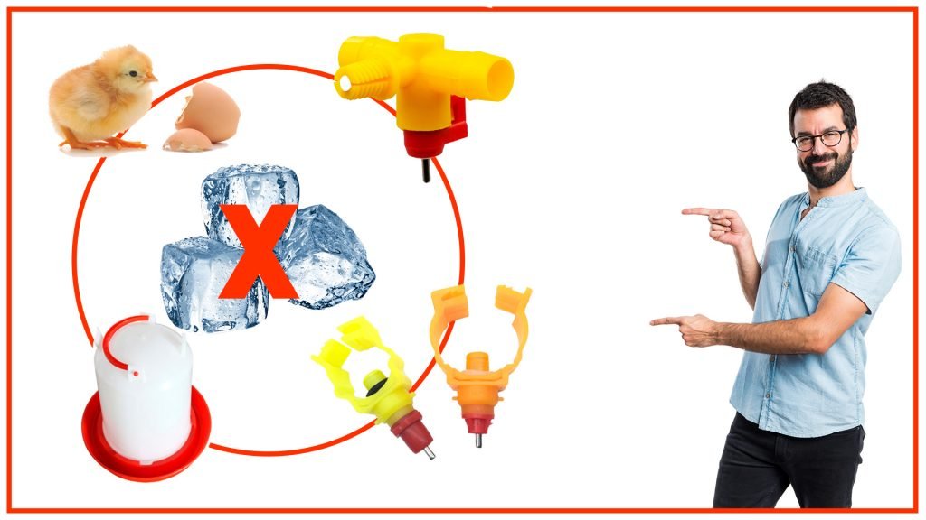 Como evitar el hielo en los bebederos de gallina en invierno 1024x576 - Cómo evitar el hielo en los bebederos de gallina en invierno