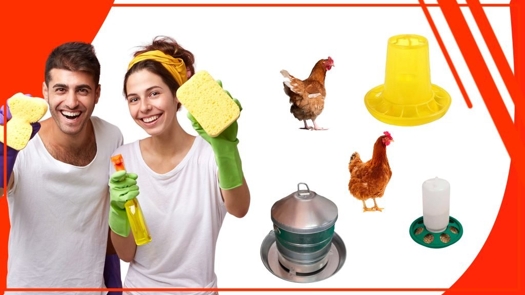 Cómo mantener los comederos para gallinas limpios y seguros Como mantener los comederos para gallinas limpios y seguros 1024x576 - Cómo mantener los comederos para gallinas limpios y seguros