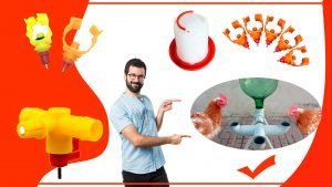 Como mejorar el diseno de tu bebedero para aves para mejorar su rendimiento 300x169 - Cómo mejorar el diseño de tu bebedero para aves para mejorar su rendimiento