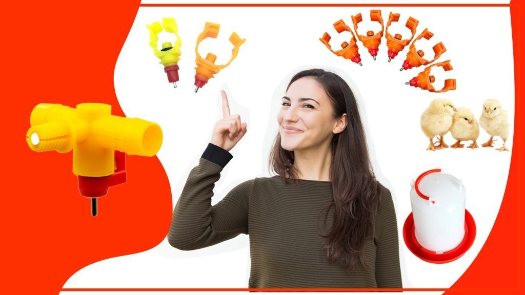 Cómo aumentar la eficiencia del bebedero para aves FONDOS PARA BComo aumentar la eficiencia del bebedero para aves 1024x576 - Cómo aumentar la eficiencia del bebedero para aves