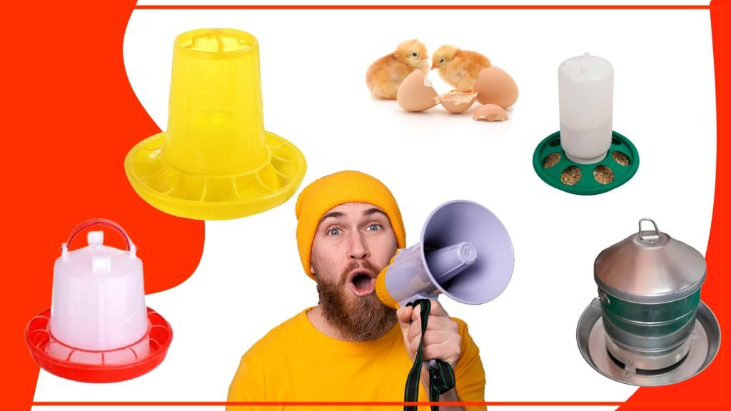 FONDOS PARA BComo elegir el mejor comederos para tus pollos 1024x576 - Cómo elegir el mejor comederos para tus pollos