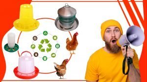 FONDOS PARA BLOGS Recuperado Recuperado Recuperado Recuperado 300x169 - Cómo construir tu propio comederos para gallinas con materiales reciclados