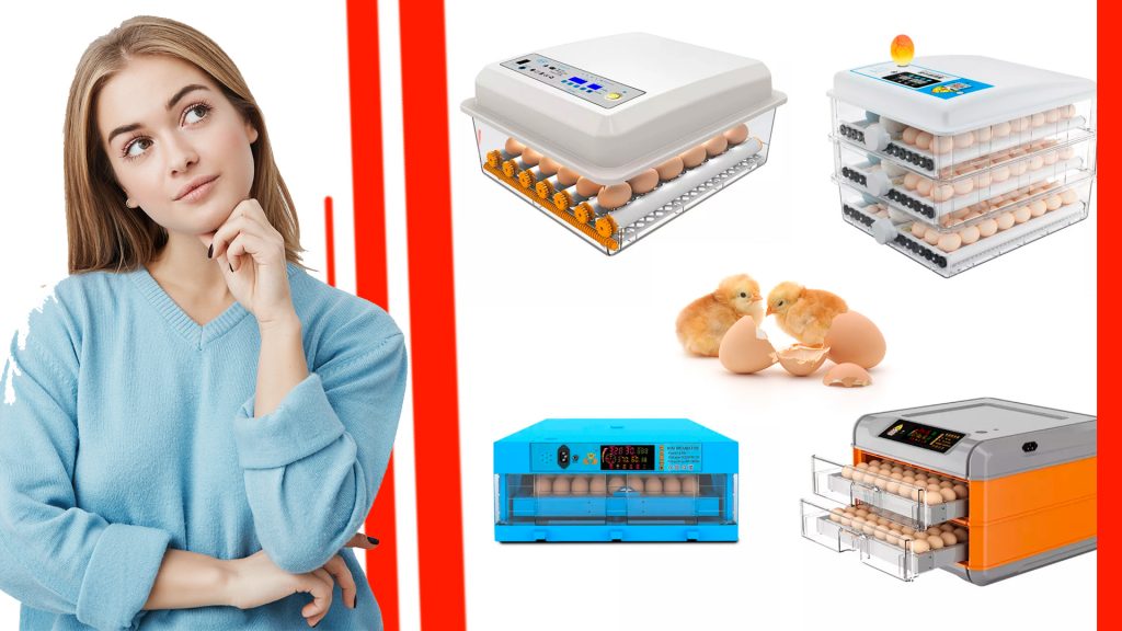 Los mejores modelos de incubadoras de huevos automáticas del mercado La Mejor incubaddoras 1024x576 - Los mejores modelos de incubadoras de huevos automáticas del mercado