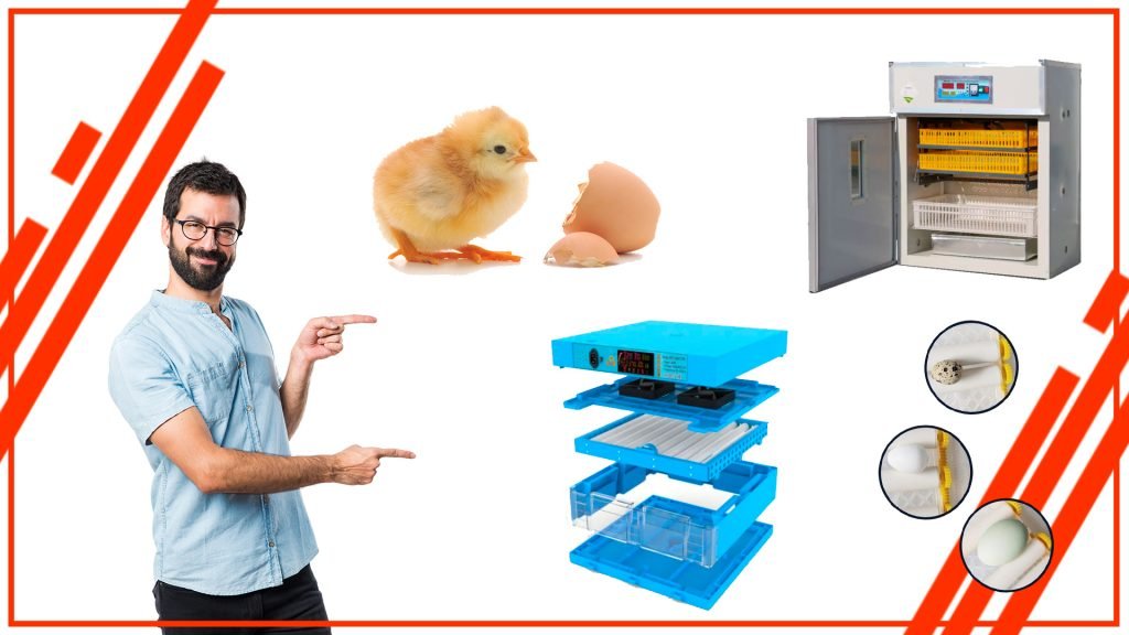 La importancia de la monitorizacion en una incubadora de huevos automatica 1024x576 - La importancia de la monitorización en una incubadora de huevos automática