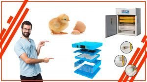 La importancia de la monitorizacion en una incubadora de huevos automatica 300x169 - La importancia de la monitorización en una incubadora de huevos automática