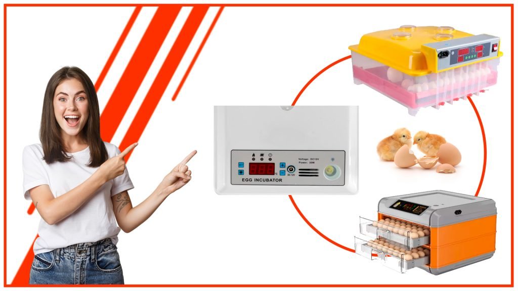 La importancia de la precisión en una incubadora de huevos automática La importancia de la precision en una incubadora de huevos automatica 1 1024x576 - La importancia de la precisión en una incubadora de huevos automática