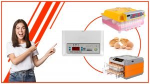 La importancia de la precision en una incubadora de huevos automatica 1 300x169 - La importancia de la precisión en una incubadora de huevos automática