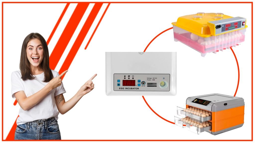 La importancia de la precision en una incubadora de huevos automatica 1024x576 - Cómo aumentar tus tasas de eclosión con una incubadora de huevos automática