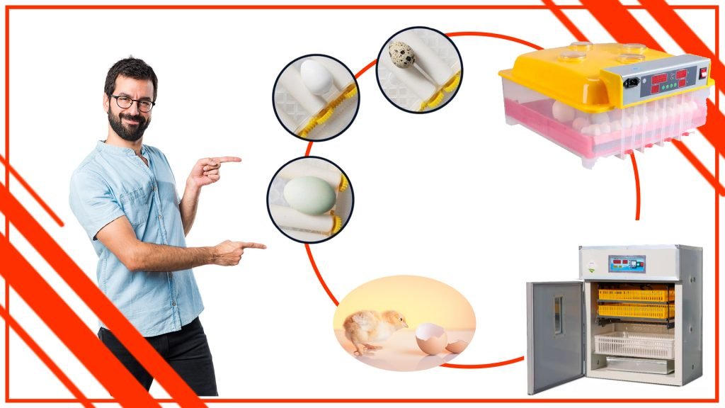 Los mejores trucos y consejos para usar una incubadora de huevos profesional en Chile La importancia de la precision en una incubadora de huevos profesional en Chile 1024x576 - Los mejores trucos y consejos para usar una incubadora de huevos profesional en Chile